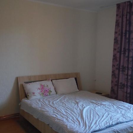 Central Apartment 2 Тимишоара Экстерьер фото