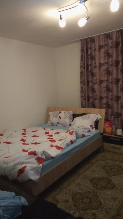 Central Apartment 2 Тимишоара Экстерьер фото