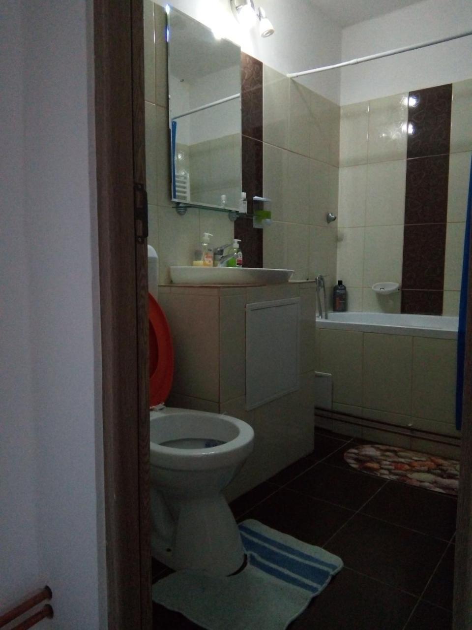 Central Apartment 2 Тимишоара Экстерьер фото